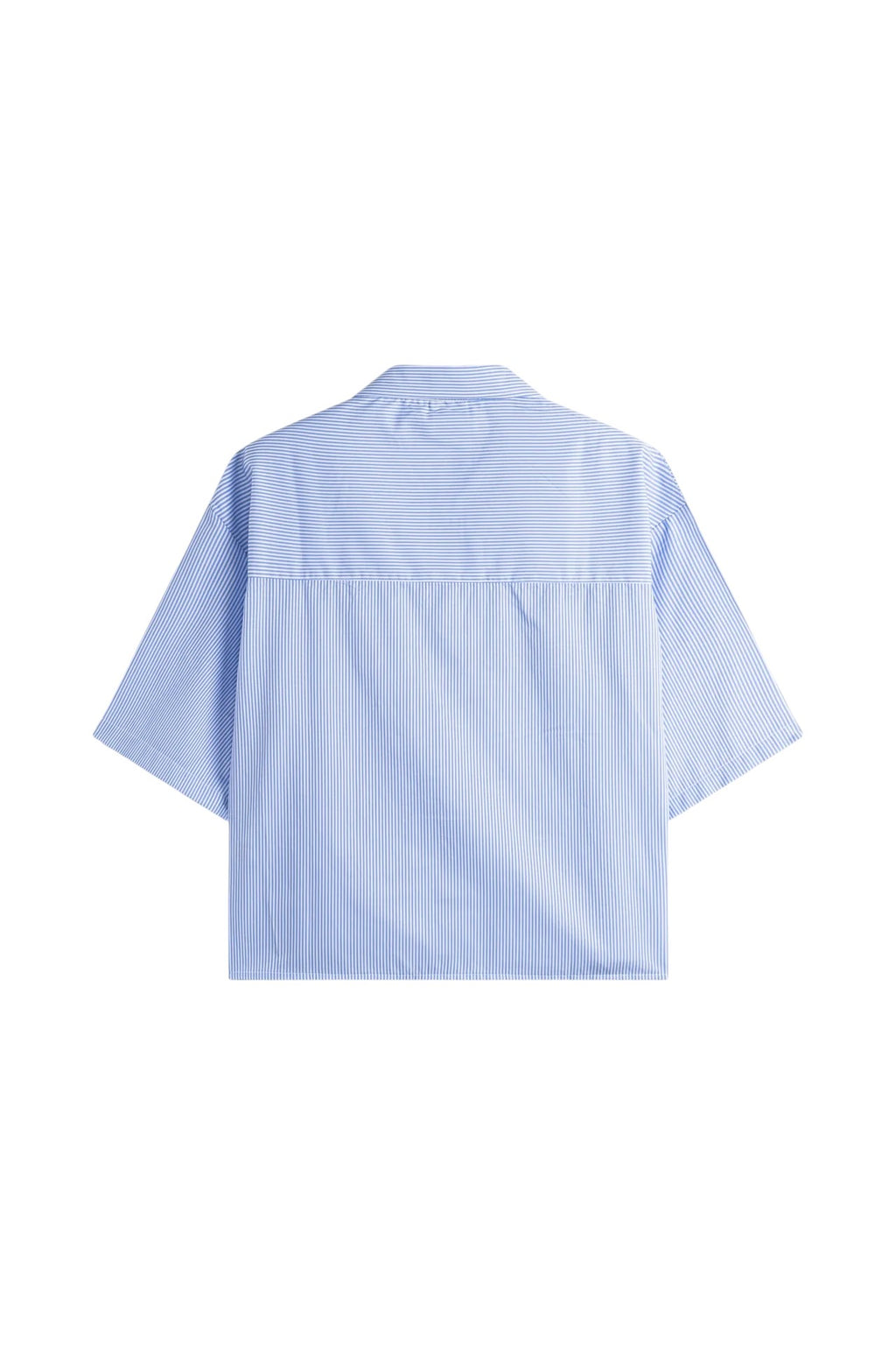 Shirt ART